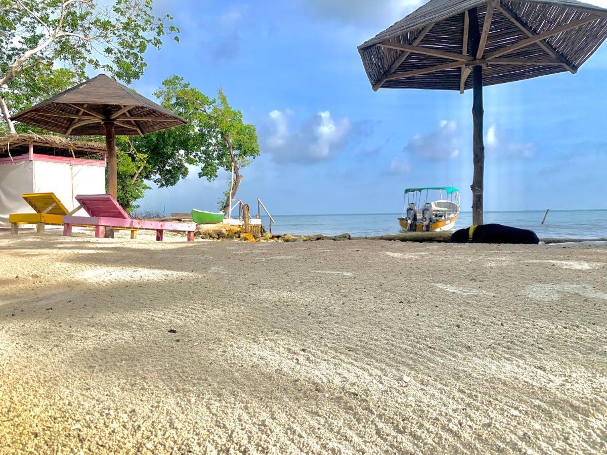 Campsite Arena